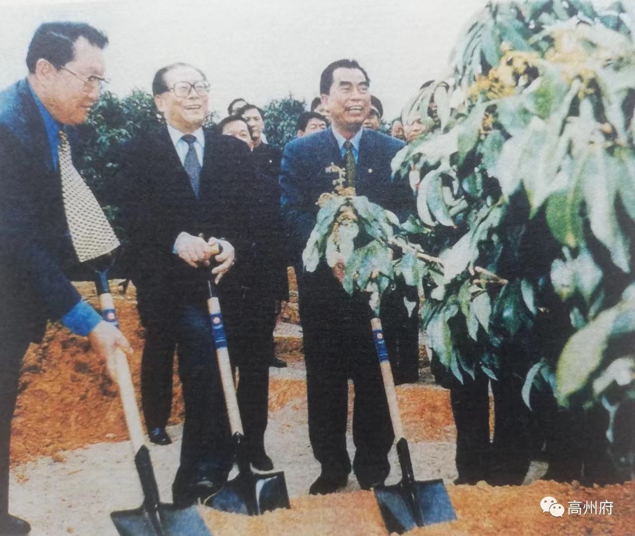 开云·kaiyun(中国)官方网站电保-中国荔枝博物馆智慧用电改造